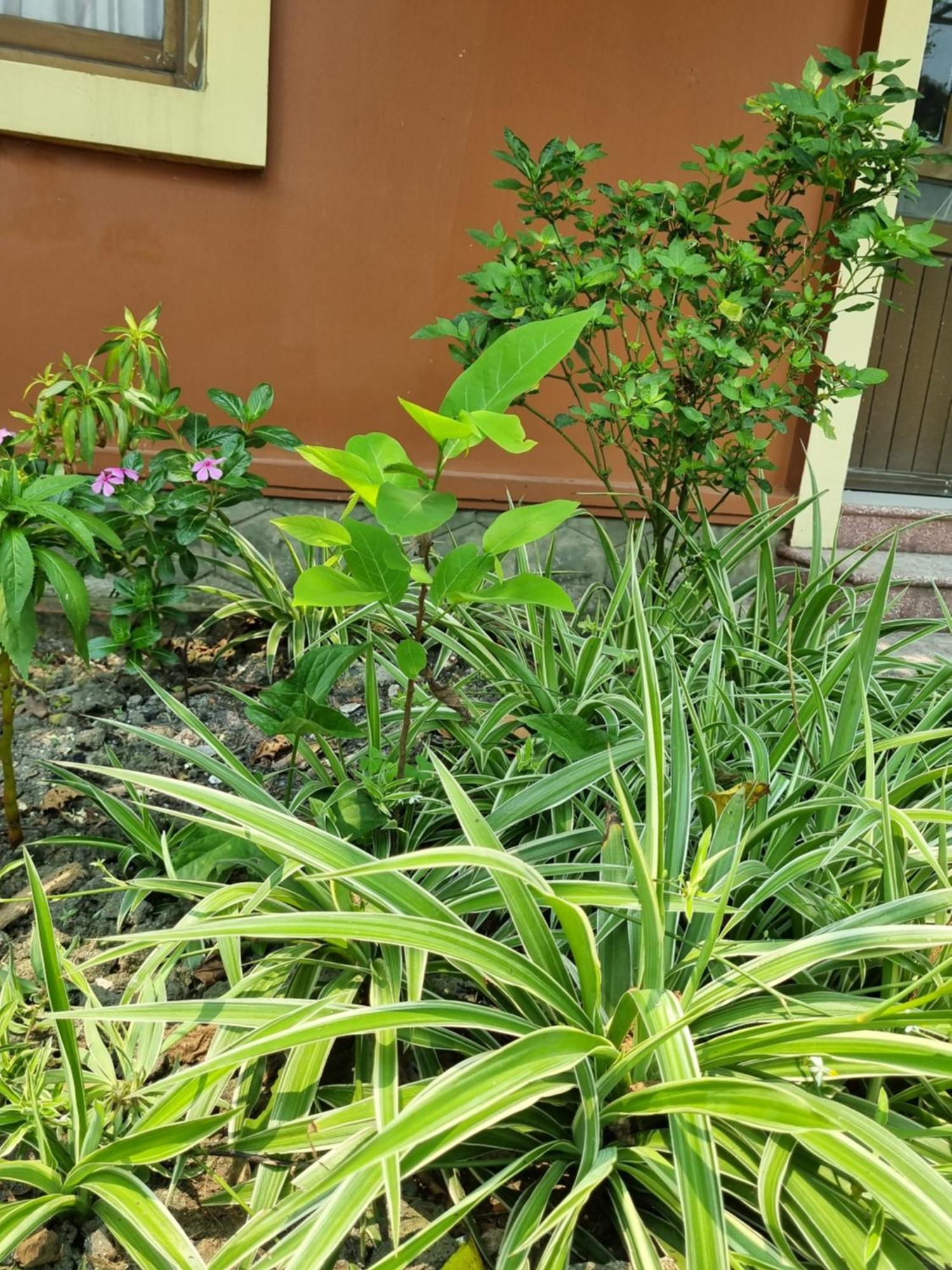 Khach San Vien Dong Hotel Cửa Lò Exterior foto